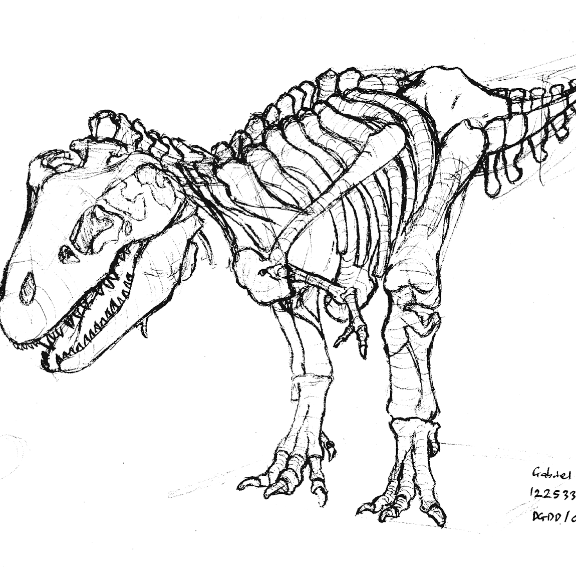 Download 109+ Dinosaur Bones Coloring Pages PNG PDF File