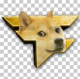 Doge Roblox Meme / MLG Doge! - Roblox