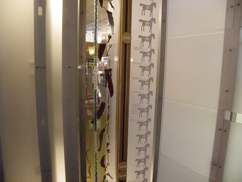 Height measurement (done in horses) - Arabian Library