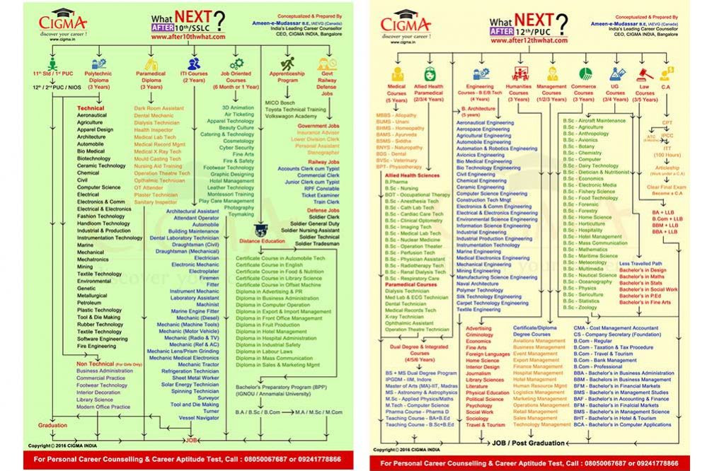 39-flow-chart-after-10th-class