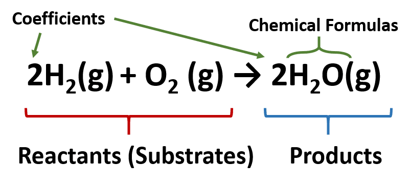 spice-of-lyfe-chemical-equation-for-photosynthesis-reactants-and-products