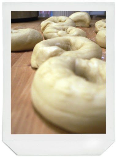 bagels-fab2-web