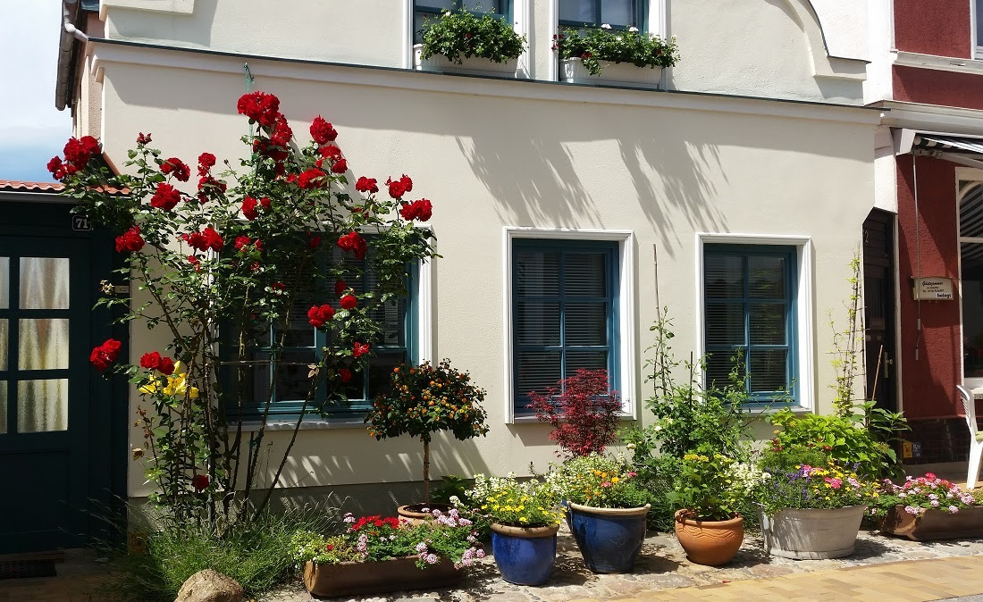 Garten Nordseite Sonne Test 5