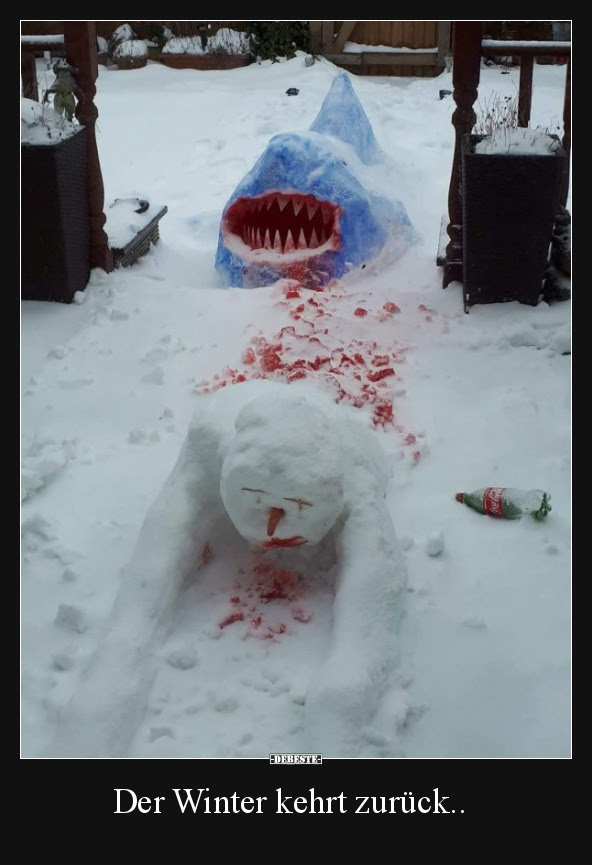 lustige bilder winter Reviews
