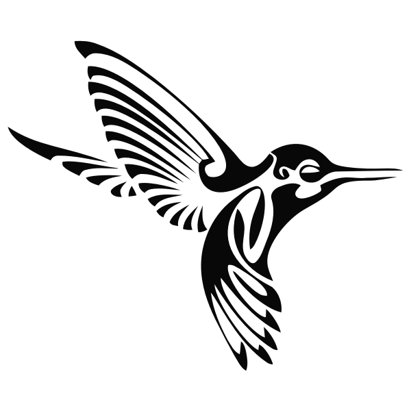 3d Hummingbird Svg 407 File Svg Png Dxf Eps Free Free Svg And Png
