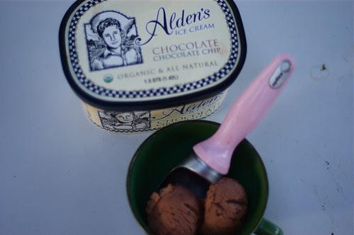Alden's ice cream 