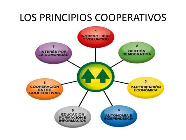 Las Cooperativas: Los Principios Cooperativistas