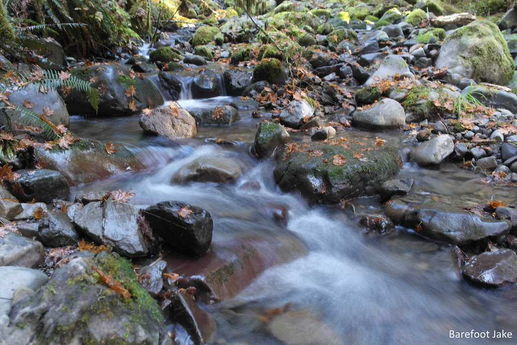 Bogachiel creeks
