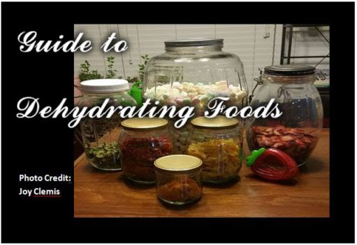 Guide to Dehydrating Foods1
