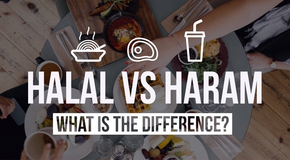 halal-diet-eat-good-food-while-losing-weight-yolo-s-latest-halal-meal-plan-review-youtube