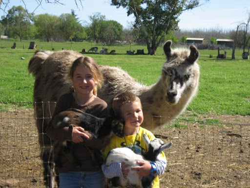 Petting Zoo Rental Near Me : Find Petting Zoos Near Me | Zoo near me