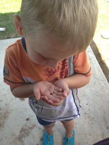 photo-7