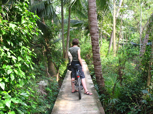 Bikes in Bang Kachao