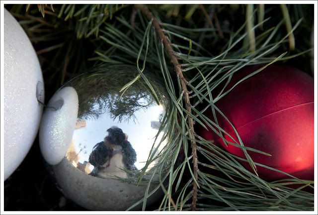 Self Poartrait In Christmas Tree