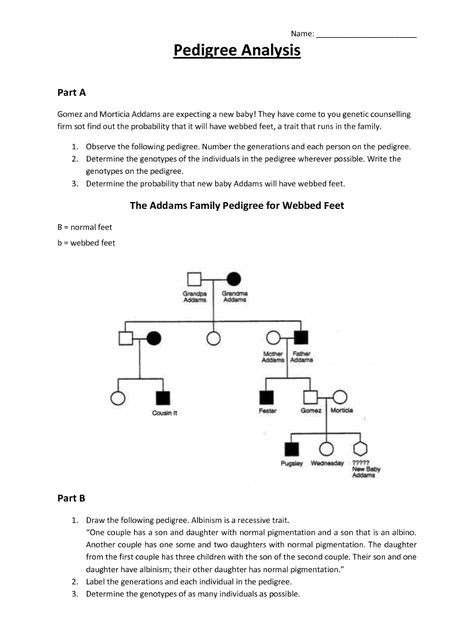 Pedigree Worksheet Answer Key / Pedigree Worksheet Answer Key 1