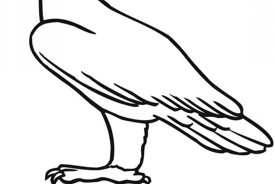 Simple Eagle Line Drawing