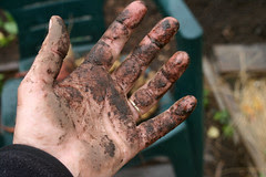 dirty hand 006