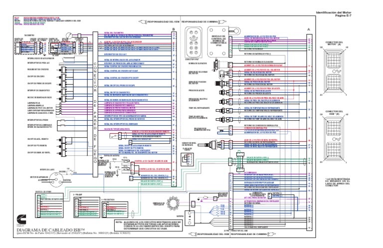 Diagrama Electrico Bomba Vp44 | Los diagramas del cableado estándares