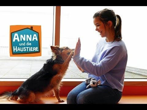 Anna Und Die Haustiere Kaninchen Youtube - niankajajasper