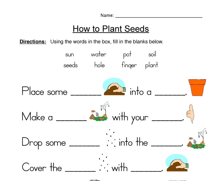 48 PLANT WORKSHEETS FOR KINDERGARTEN FREE, PLANT FOR WORKSHEETS FREE