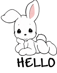 Hello Bunny