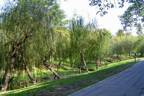 無限台南/巴克禮紀念公園