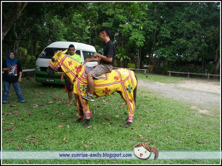 Bajau Horse Riding
