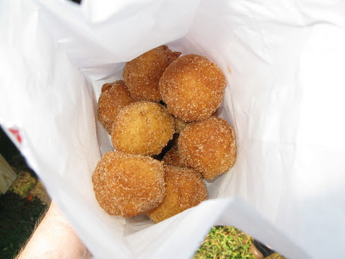 apple fritters