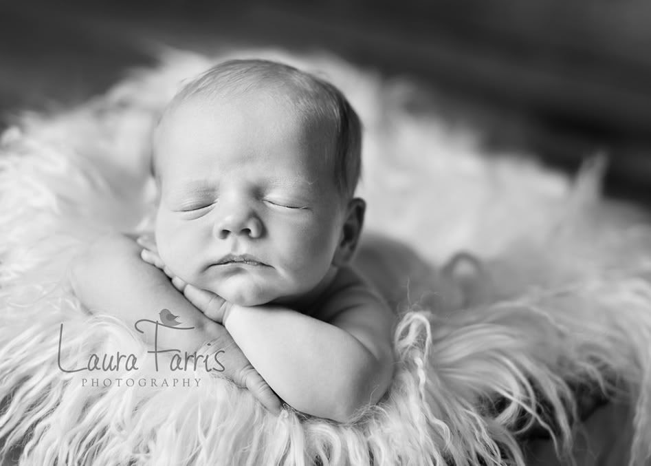 newborn photography boise