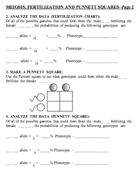 Ron Goldman Autopsy Pictures Punnett Square Practice Problem Worksheet