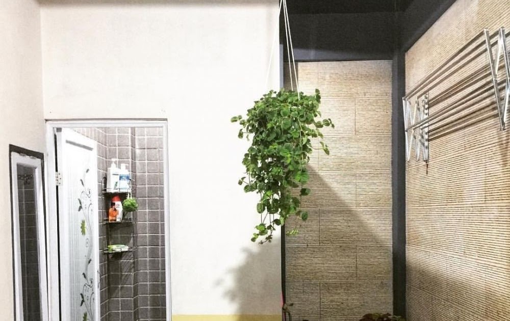Penataan Halaman Rumah Minimalis - Desain Rumah Ruko