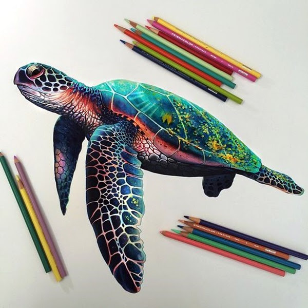 color pencil drawing Examples (21)