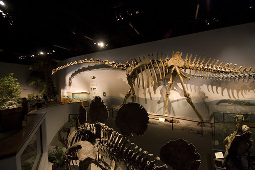museum of ancient life at thanksgiving point