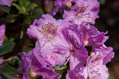 IMG_8966.jpg