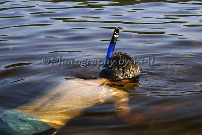 a boy snorkeling in a lake