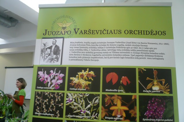 P1140671