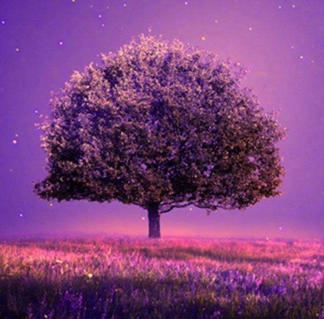 Attractive Wallpaper For Phone - You can easily select your device