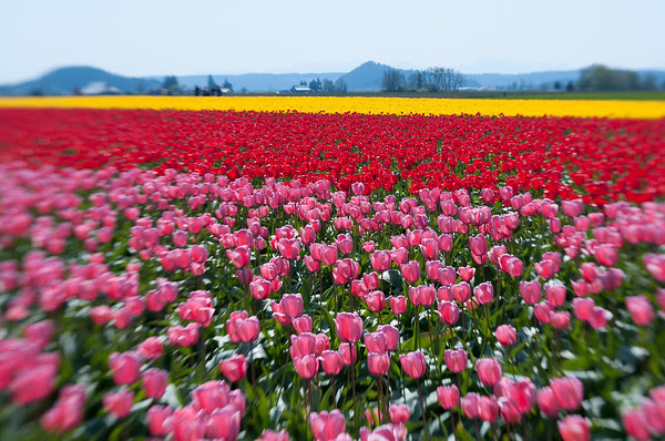 Photo & Video Sharing by SmugMug Photo & Video Sharing by SmugMug