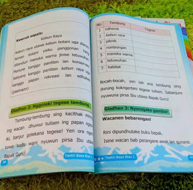 Kunci Jawaban Tantri Basa Jawa Kelas 4 Halaman 71 - Get Kunci Jawaban Tantri Basa Jawa Kelas 4 Halaman 71 Terkini