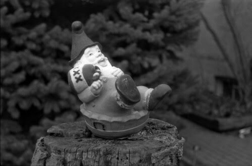 Drunk Off My Gnome!