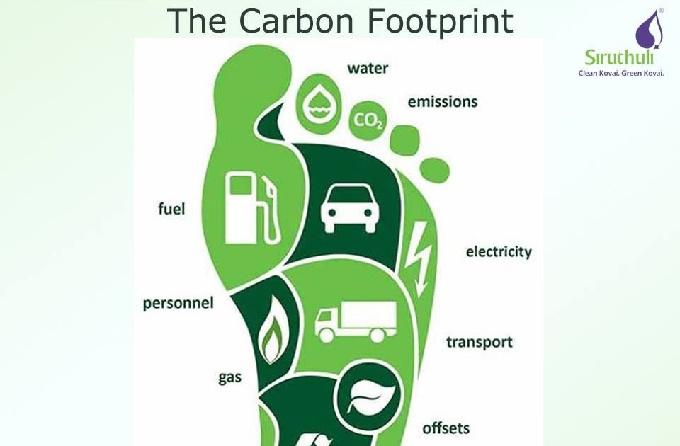 Проект углеродный след. Экологический след человека. Carbon footprint. Снижение углеродного следа. Углеродный след человека.
