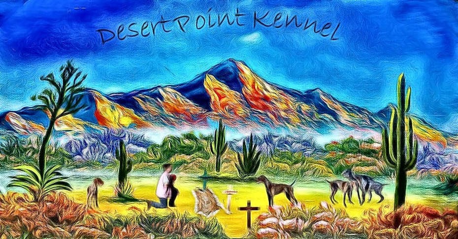 Superphoto Painting / Dreamscope turns your photos into amazing