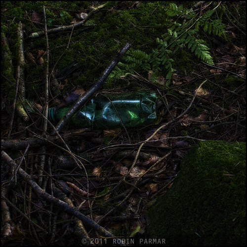 Myths of the New Forest: Detritus #28794