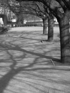 bilde-005-mindrer