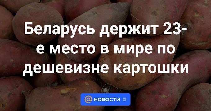 Беларусь держит 23-е место в мире по дешевизне картошки
