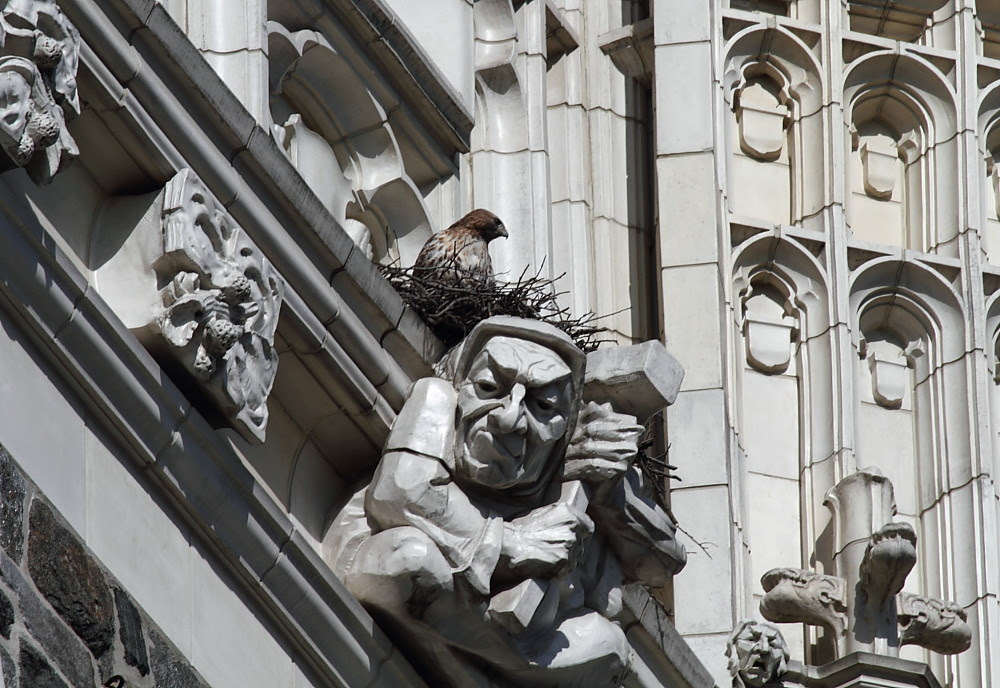 CCNY_RTH