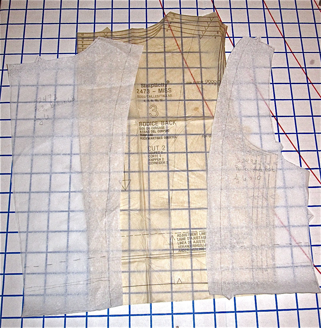 Back Princess Seams