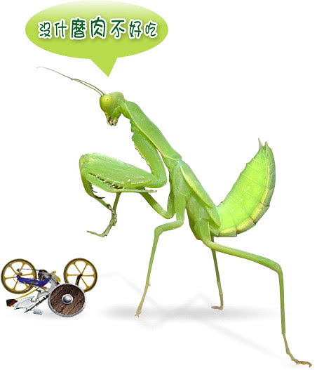 無限台南/螳螂