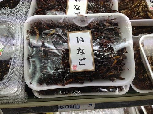 20120623131114