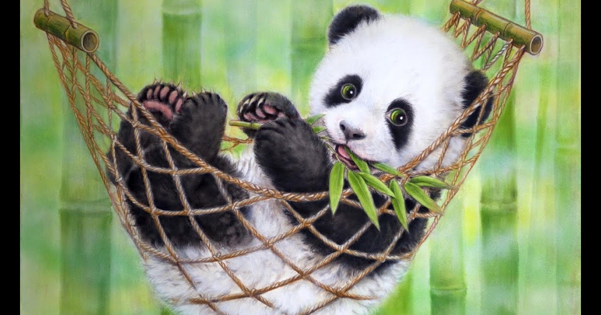 Gaya Terbaru 40+ Cute Panda Wallpaper, Warung Minimalis